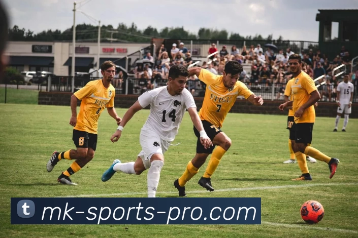 MK体育专业版品牌故事